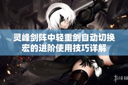 靈峰劍陣中輕重劍自動切換宏的進階使用技巧詳解