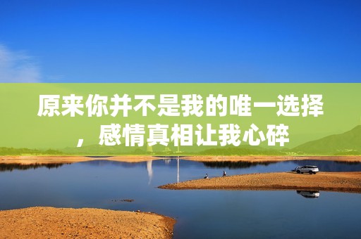 原來你并不是我的唯一選擇，感情真相讓我心碎