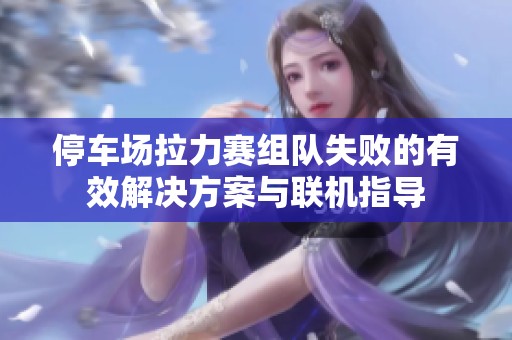 停車場(chǎng)拉力賽組隊(duì)失敗的有效解決方案與聯(lián)機(jī)指導(dǎo)