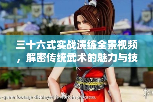 三十六式實戰(zhàn)演練全景視頻，解密傳統(tǒng)武術的魅力與技巧