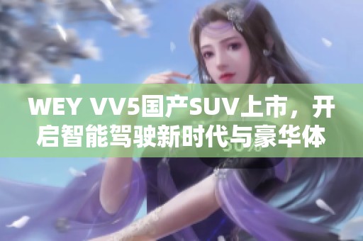 WEY VV5國產(chǎn)SUV上市，開啟智能駕駛新時代與豪華體驗