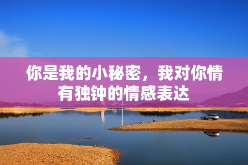 你是我的小秘密，我對你情有獨鐘的情感表達