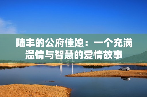 陸豐的公府佳媳：一個充滿溫情與智慧的愛情故事
