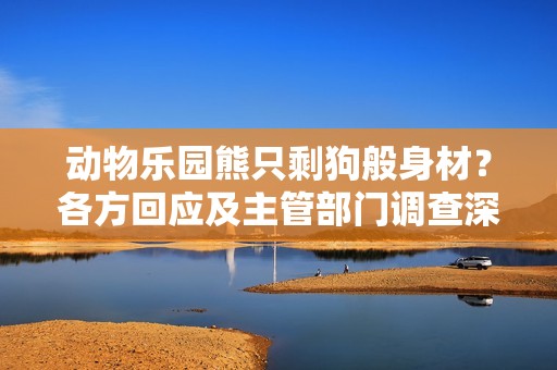 動物樂園熊只剩狗般身材？各方回應(yīng)及主管部門調(diào)查深入解析