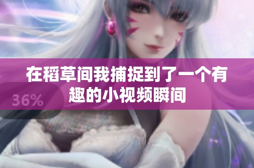 在稻草間我捕捉到了一個有趣的小視頻瞬間