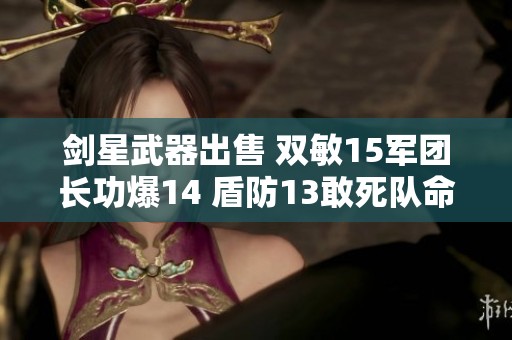劍星武器出售 雙敏15軍團(tuán)長功爆14 盾防13敢死隊(duì)命中35等級類型