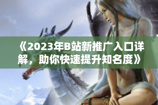 《2023年B站新推廣入口詳解，助你快速提升知名度》