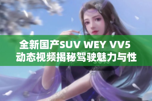 全新國產(chǎn)SUV WEY VV5 動態(tài)視頻揭秘駕駛魅力與性能表現(xiàn)