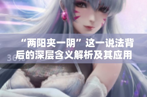 “兩陽夾一陰”這一說法背后的深層含義解析及其應(yīng)用場景