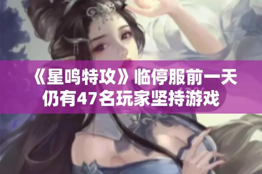 《星鳴特攻》臨停服前一天仍有47名玩家堅持游戲