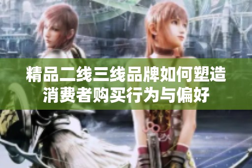 精品二線三線品牌如何塑造消費者購買行為與偏好
