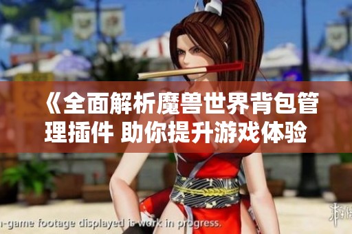 《全面解析魔獸世界背包管理插件 助你提升游戲體驗》