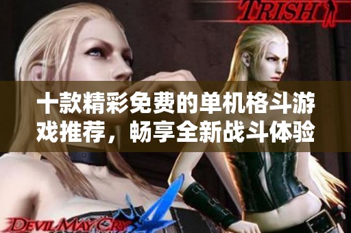 十款精彩免費(fèi)的單機(jī)格斗游戲推薦，暢享全新戰(zhàn)斗體驗(yàn)