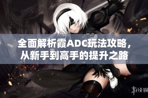 全面解析霞ADC玩法攻略，從新手到高手的提升之路