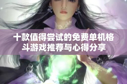十款值得嘗試的免費(fèi)單機(jī)格斗游戲推薦與心得分享