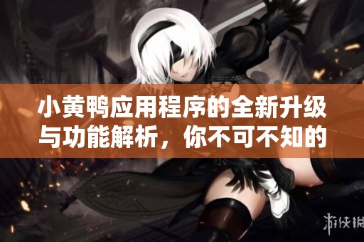 小黃鴨應用程序的全新升級與功能解析，你不可不知的亮點與優(yōu)勢