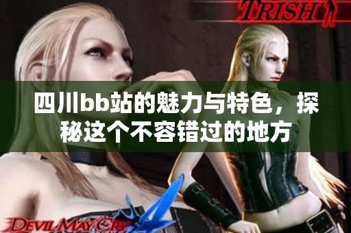 四川bb站的魅力與特色，探秘這個(gè)不容錯(cuò)過(guò)的地方