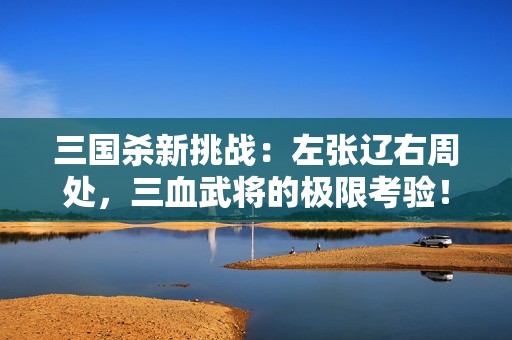 三國(guó)殺新挑戰(zhàn)：左張遼右周處，三血武將的極限考驗(yàn)！