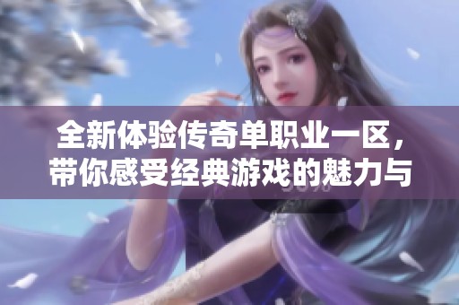 全新體驗傳奇單職業(yè)一區(qū)，帶你感受經典游戲的魅力與樂趣