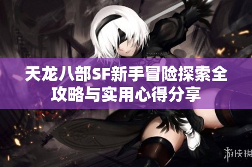 天龍八部SF新手冒險探索全攻略與實用心得分享
