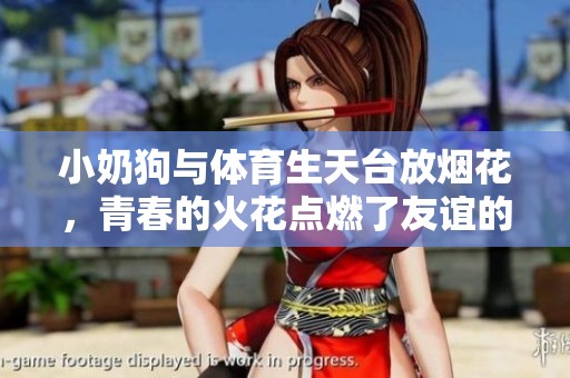 小奶狗與體育生天臺放煙花，青春的火花點燃了友誼的瞬間