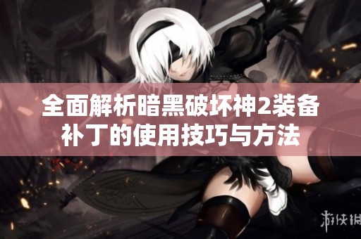 全面解析暗黑破壞神2裝備補丁的使用技巧與方法