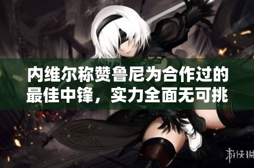 內(nèi)維爾稱贊魯尼為合作過的最佳中鋒，實力全面無可挑剔
