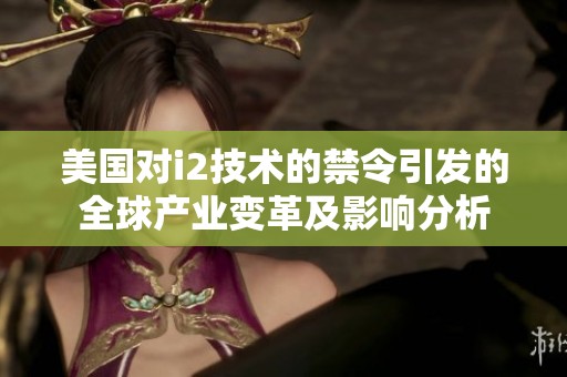 美國對i2技術(shù)的禁令引發(fā)的全球產(chǎn)業(yè)變革及影響分析