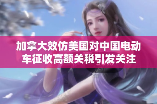 加拿大效仿美國對中國電動車征收高額關(guān)稅引發(fā)關(guān)注