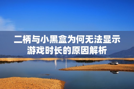 二柄與小黑盒為何無(wú)法顯示游戲時(shí)長(zhǎng)的原因解析