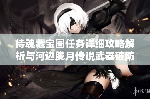 侍魂藏寶圖任務(wù)詳細(xì)攻略解析與河邊朧月傳說武器破防技巧分享