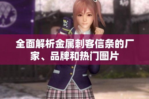 全面解析金屬刺客信條的廠家、品牌和熱門圖片