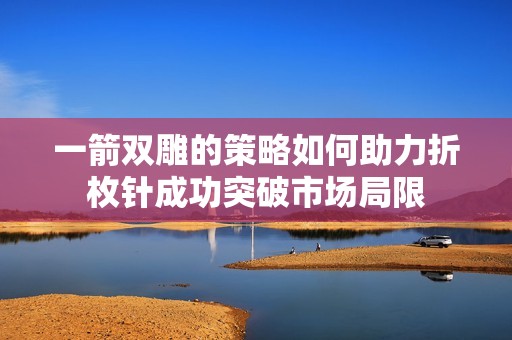 一箭雙雕的策略如何助力折枚針成功突破市場(chǎng)局限