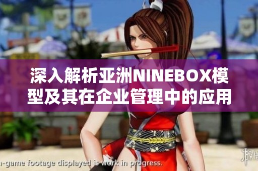 深入解析亞洲NINEBOX模型及其在企業(yè)管理中的應(yīng)用