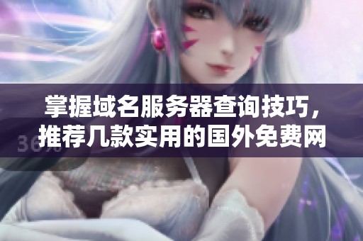 掌握域名服務(wù)器查詢技巧，推薦幾款實(shí)用的國外免費(fèi)網(wǎng)站