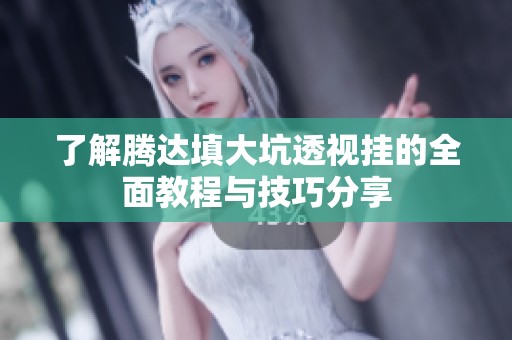 了解騰達填大坑透視掛的全面教程與技巧分享