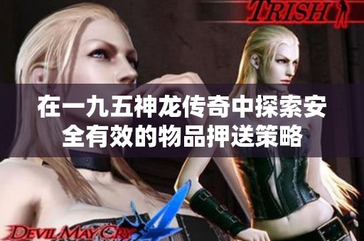 在一九五神龍傳奇中探索安全有效的物品押送策略
