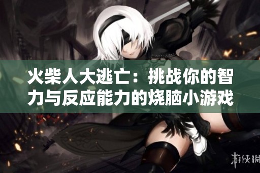 火柴人大逃亡：挑戰(zhàn)你的智力與反應能力的燒腦小游戲
