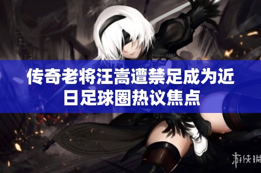 傳奇老將汪嵩遭禁足成為近日足球圈熱議焦點