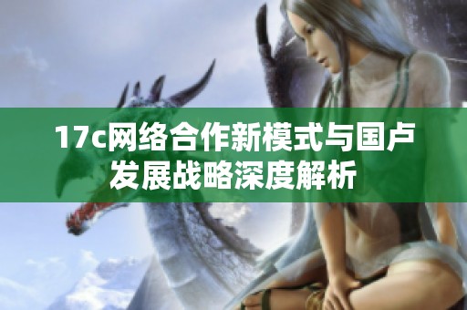 17c網(wǎng)絡(luò)合作新模式與國盧發(fā)展戰(zhàn)略深度解析