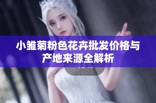 小雛菊粉色花卉批發(fā)價格與產(chǎn)地來源全解析