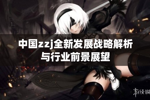 中國zzj全新發(fā)展戰(zhàn)略解析與行業(yè)前景展望