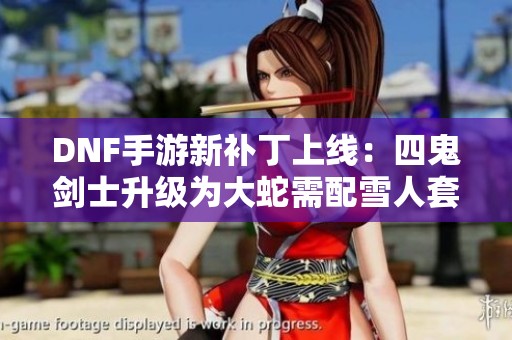 DNF手游新補(bǔ)丁上線：四鬼劍士升級為大蛇需配雪人套