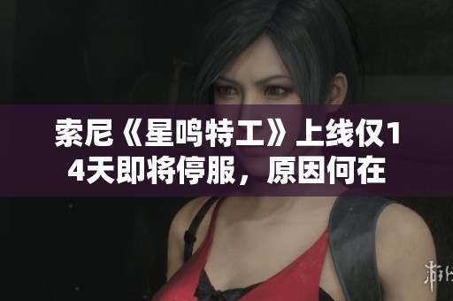 索尼《星鳴特工》上線僅14天即將停服，原因何在