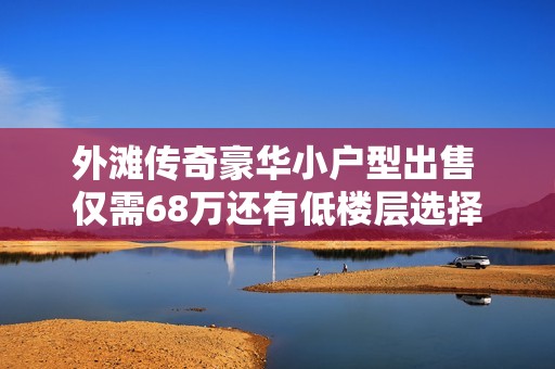 外灘傳奇豪華小戶型出售 僅需68萬還有低樓層選擇