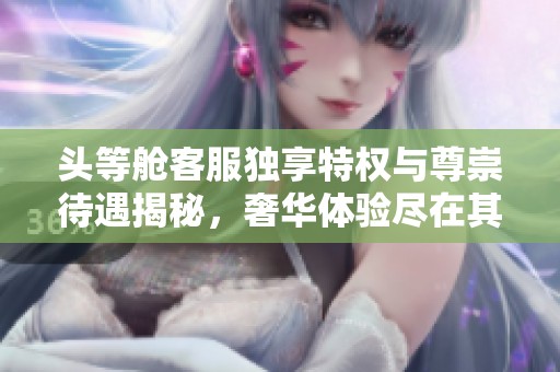 頭等艙客服獨(dú)享特權(quán)與尊崇待遇揭秘，奢華體驗(yàn)盡在其中