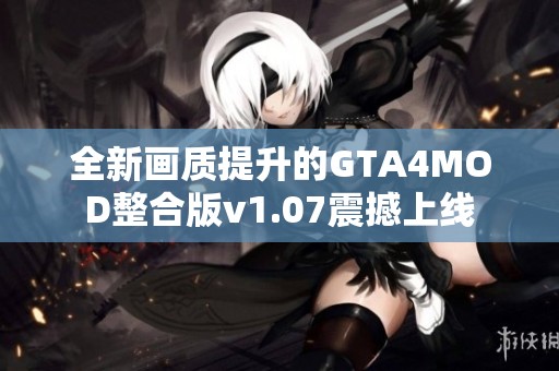 全新畫質(zhì)提升的GTA4MOD整合版v1.07震撼上線