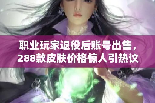 職業(yè)玩家退役后賬號出售，288款皮膚價格驚人引熱議