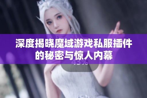 深度揭曉魔域游戲私服插件的秘密與驚人內(nèi)幕