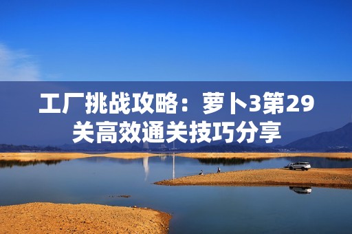 工廠挑戰(zhàn)攻略：蘿卜3第29關(guān)高效通關(guān)技巧分享